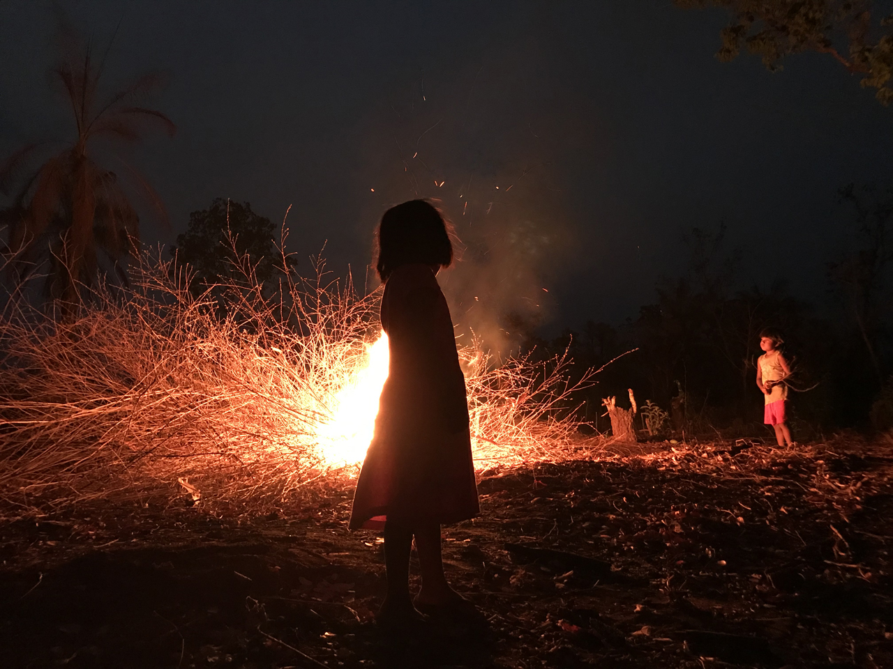 Guardiãs Da Floresta - Segunda Temporada